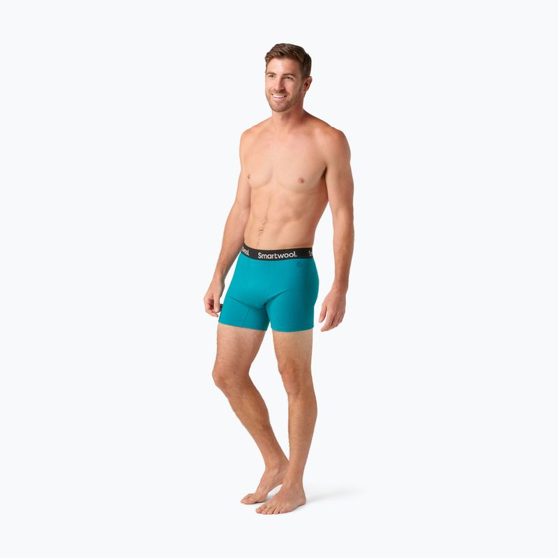 Ανδρικά Smartwool Brief Boxed θερμικά μποξεράκια βαθιάς λίμνης 5