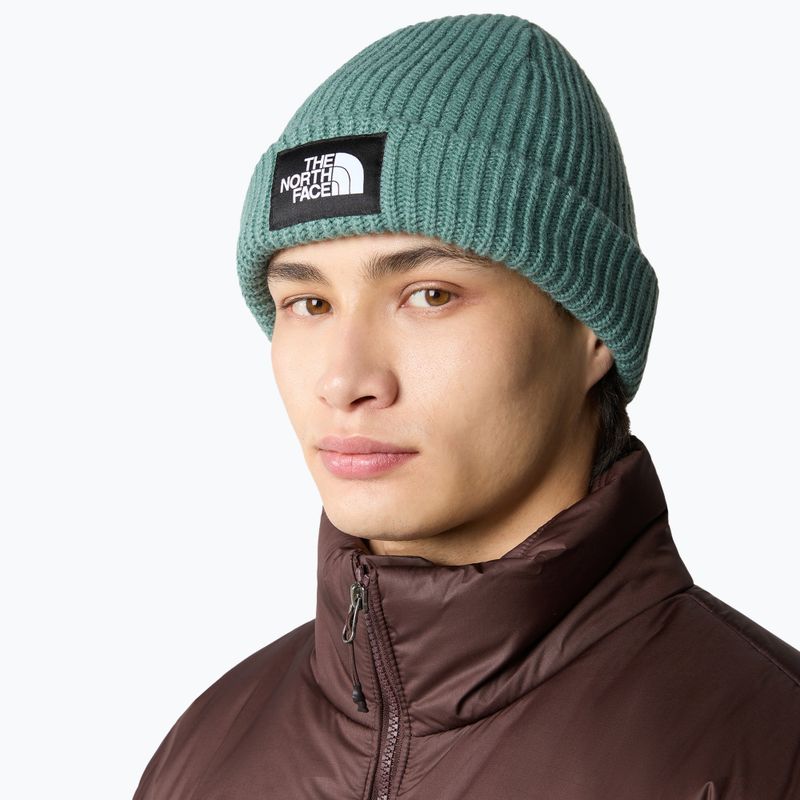 Χειμωνιάτικο σκουφάκι The North Face Salty dark sage 4