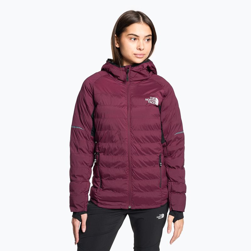 The North Face Dawn Turn 50/50 Synthetic boysenberry γυναικείο μπουφάν με πούπουλα