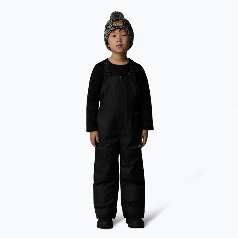 Παιδικό παντελόνι σκι The North Face Kid Freedom Insulated Bib μαύρο