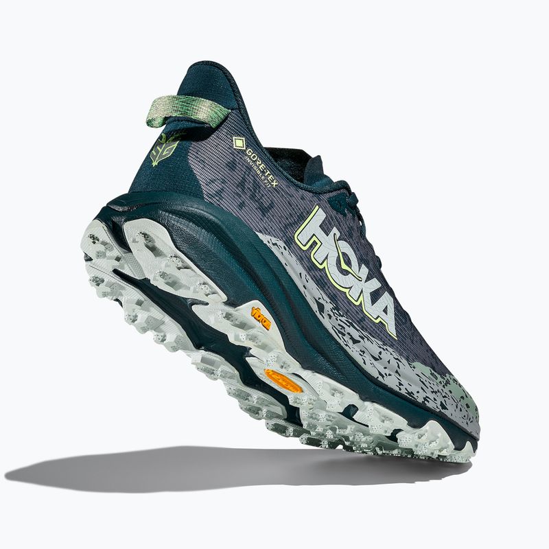 Ανδρικά παπούτσια για τρέξιμο HOKA Speedgoat 6 GTX μπλε λυκόφως/druzy 5