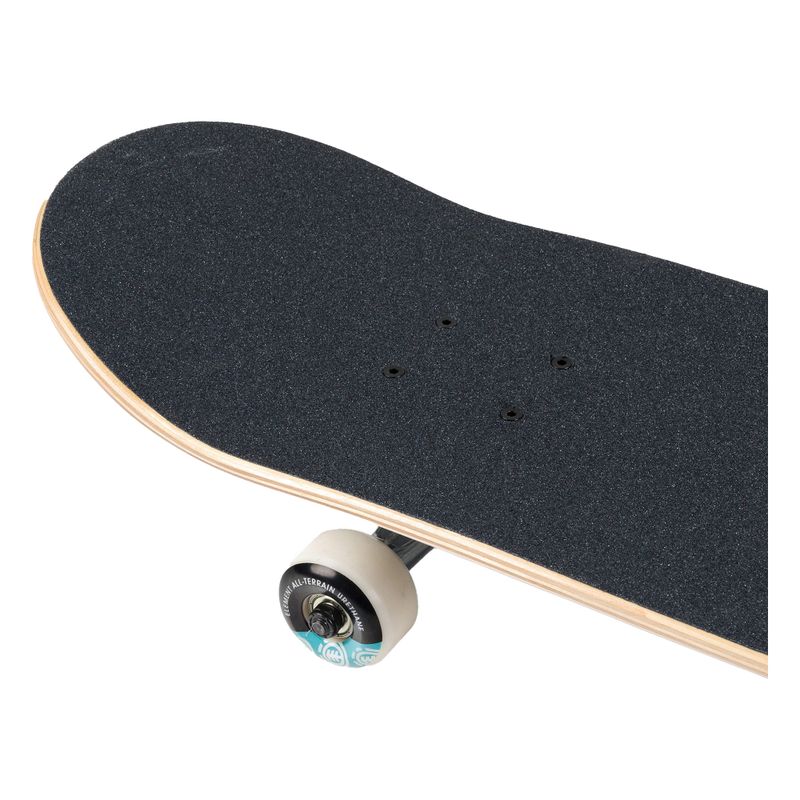 Element Day Dream Quad κλασικό skateboard μαύρο F4CPA3 6