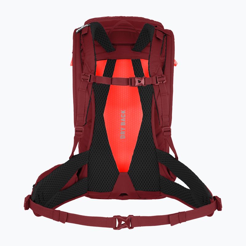 Γυναικείο σακίδιο πεζοπορίας Salewa Alp Trainer 20 l syrah 2