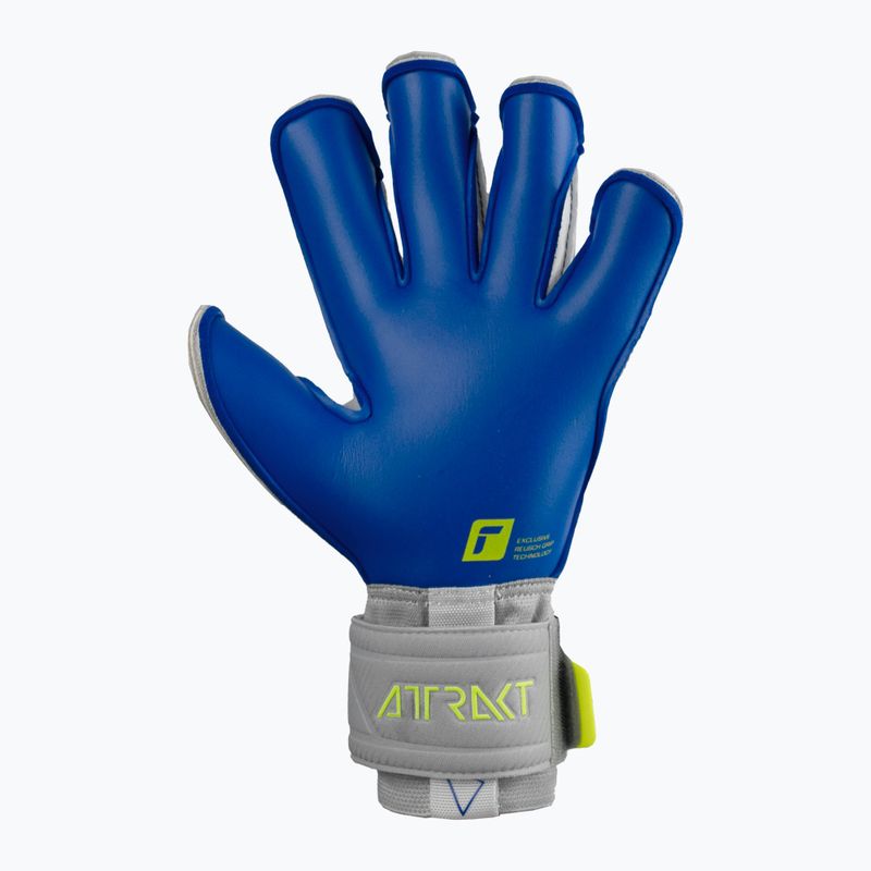 Reusch Attrakt Gold X Evolution Cut γκρι γάντια τερματοφύλακα 5270964 8