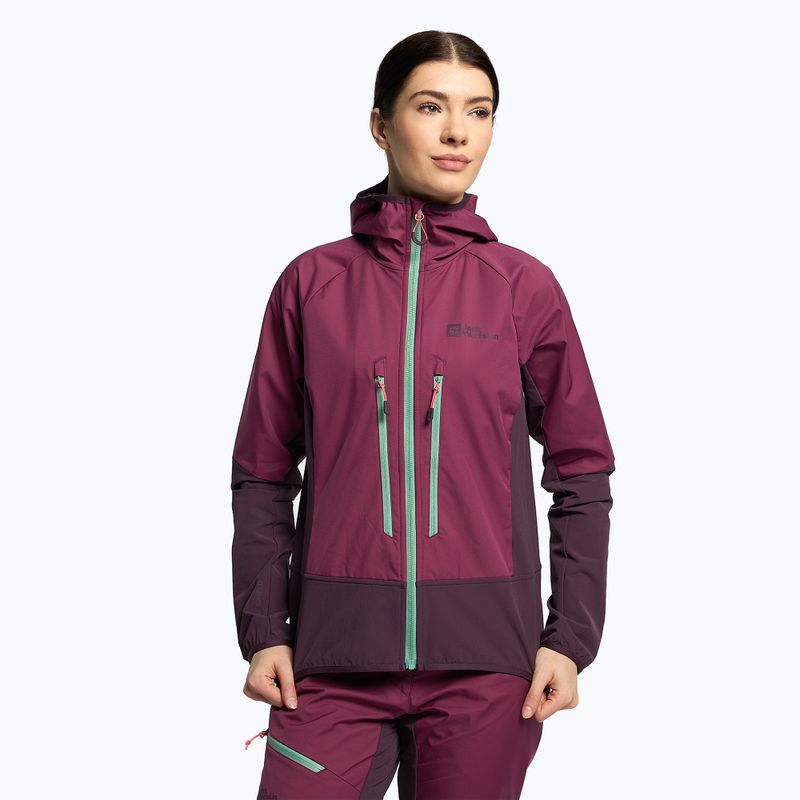 Jack Wolfskin Alpspitze Hoody γυναικείο μπουφάν σκι μωβ 1307391_1014