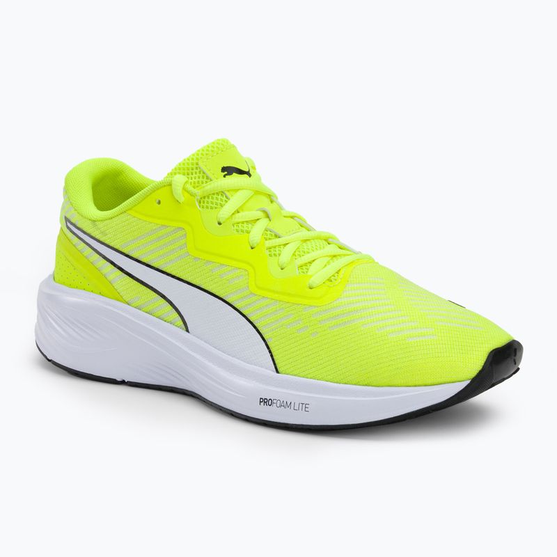 PUMA Aviator Profoam Sky 12 πράσινο 376615 16 παπούτσια για τρέξιμο