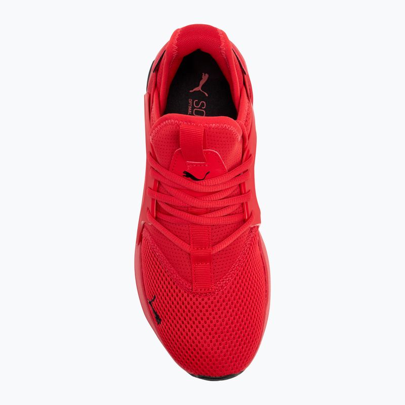 Ανδρικά παπούτσια για τρέξιμο PUMA Softride Enzo Evo high risk red/puma black 5