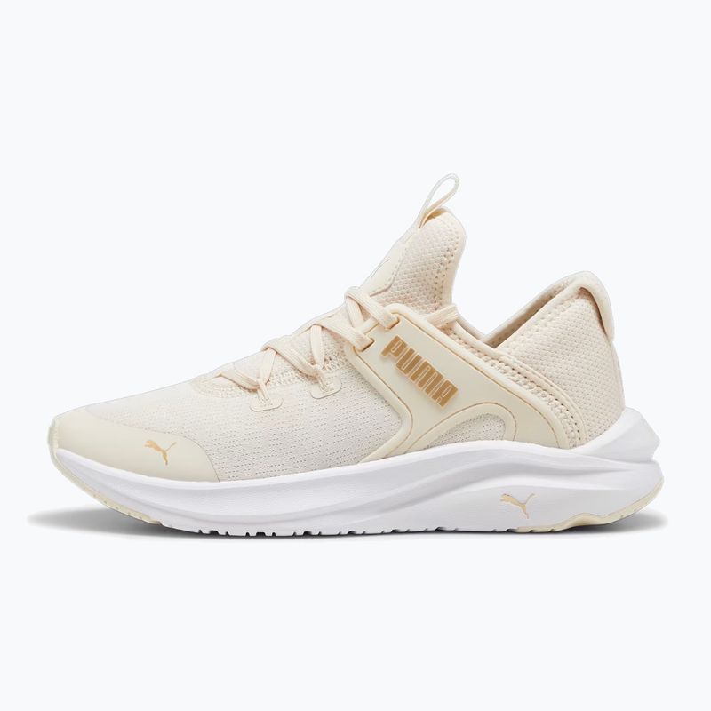 Γυναικεία παπούτσια PUMA Softride One4All Femme alpine snow/puma white/gold 9