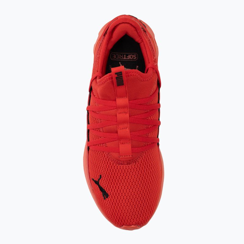 Παπούτσια για τρέξιμο PUMA Softride Carson Fresh for all time red/puma black 5