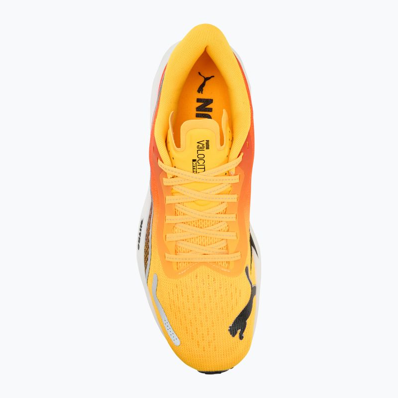 Ανδρικά παπούτσια για τρέξιμο PUMA Velocity Nitro 3 Fade sun stream/sunset glow/white 5