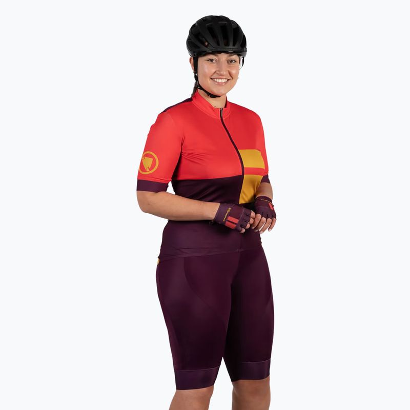 Γυναικείο ποδηλατικό σορτς Endura FS260-Pro DS Bibshort aubergine 3