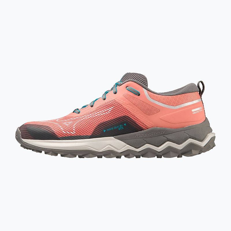 Γυναικεία παπούτσια για τρέξιμο Mizuno Wave Ibuki 4 GTX lantana/quiet shade/buebird 12