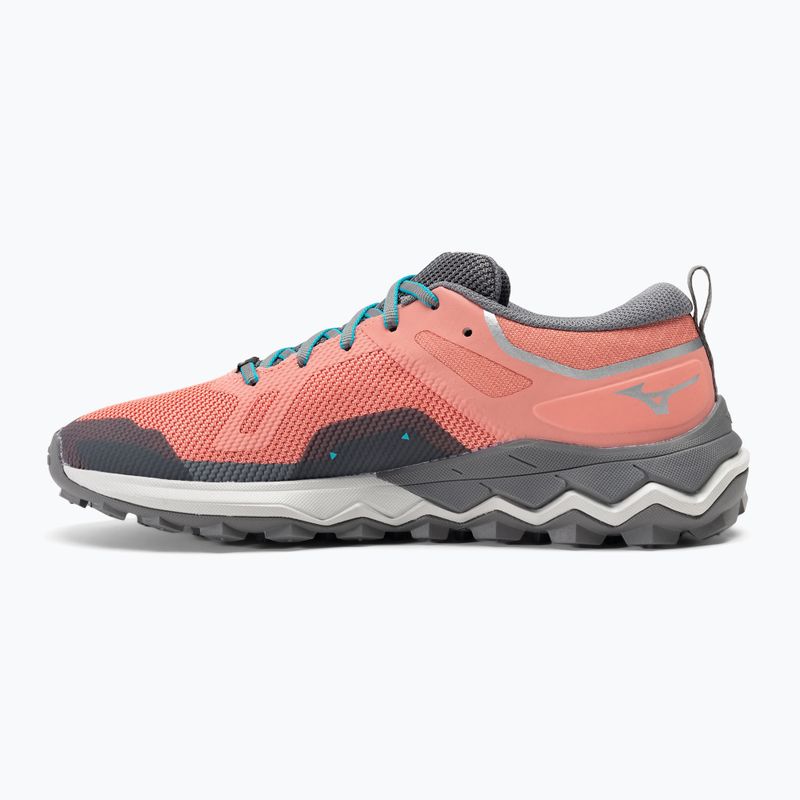 Γυναικεία παπούτσια για τρέξιμο Mizuno Wave Ibuki 4 GTX lantana/quiet shade/buebird 10