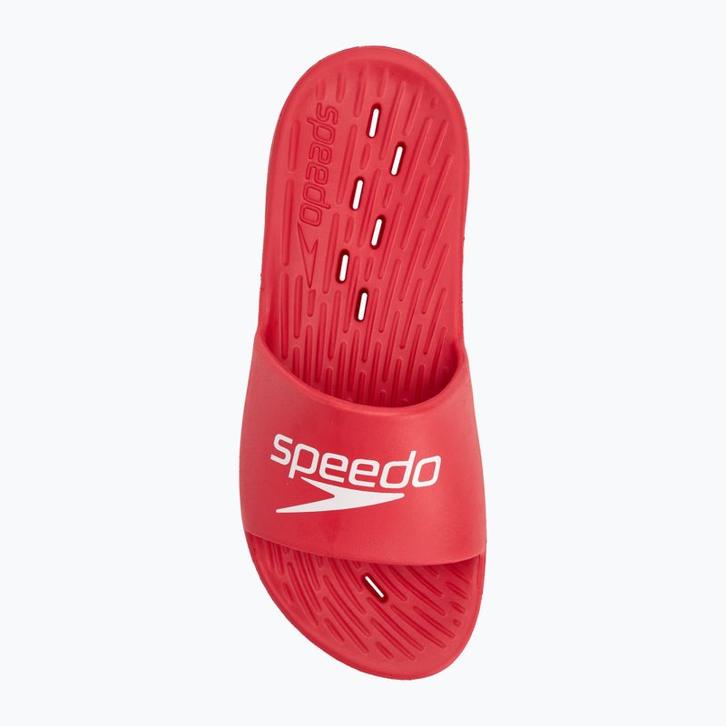 Ανδρικές παντόφλες Speedo Slide fed red 5