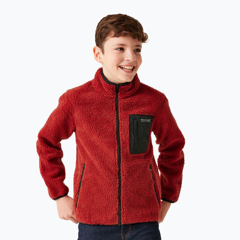 Παιδικό φούτερ REGATTA Junior Frankie Full Zip red ochre