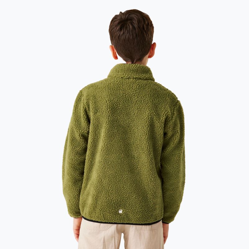 Παιδικό φούτερ REGATTA Junior Frankie Full Zip nephrite green 3