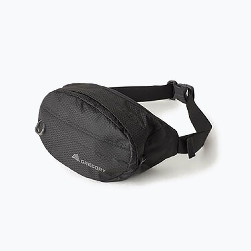 Gregory Nano Waistpack θήκη νεφρών μαύρο 126861 9