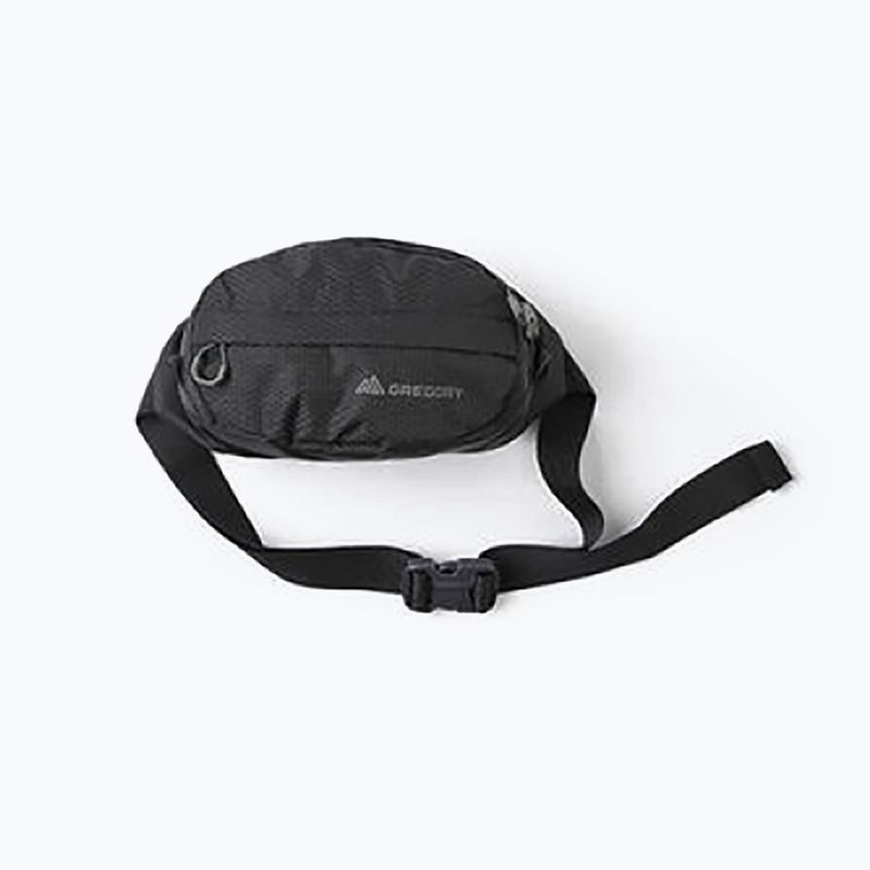 Gregory Nano Waistpack θήκη νεφρών μαύρο 126861 11