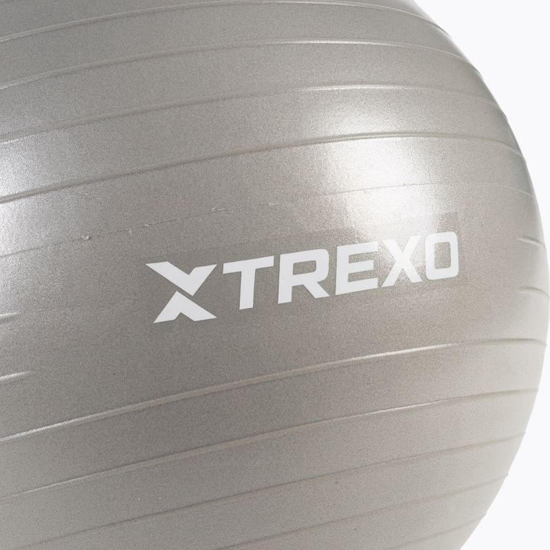 TREXO Gymball TXO-B4Z007-GY 55 cm γκρι 6