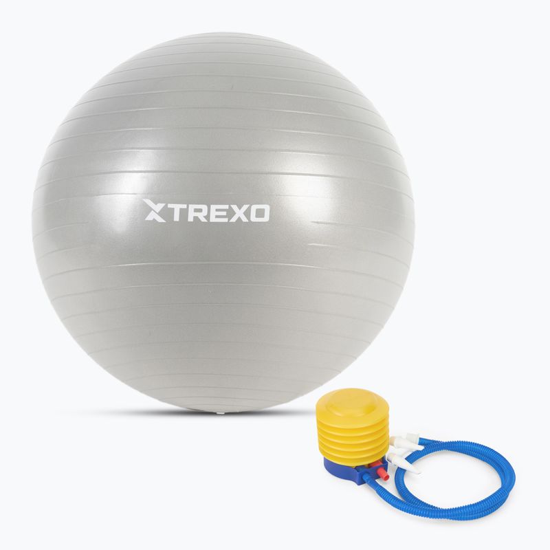 TREXO Gymball TXO-B4Z008-GY 65 cm γκρι 4