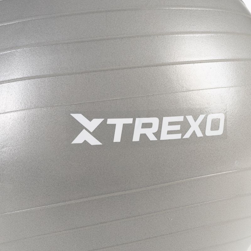 TREXO Gymball TXO-B4Z008-GY 65 cm γκρι 5