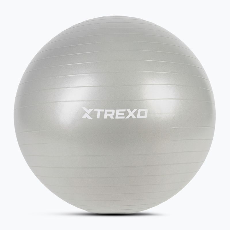 TREXO Gymball TXO-B4Z009-GY 75 cm γκρι