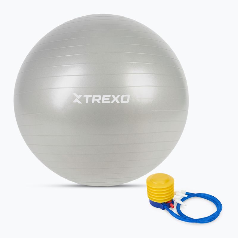 TREXO Gymball TXO-B4Z009-GY 75 cm γκρι 5