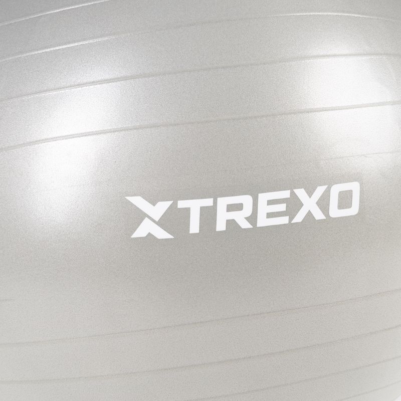 TREXO Gymball TXO-B4Z009-GY 75 cm γκρι 6