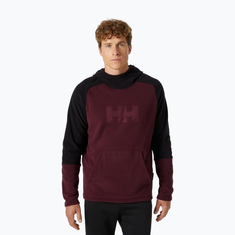 Ανδρικά Helly Hansen Daybreaker Logo Hoodie hickory trekking φούτερ