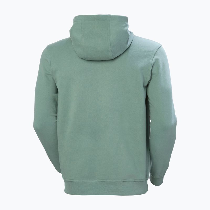 Ανδρικό φούτερ Helly Hansen HH Logo Hoodie cactus 6