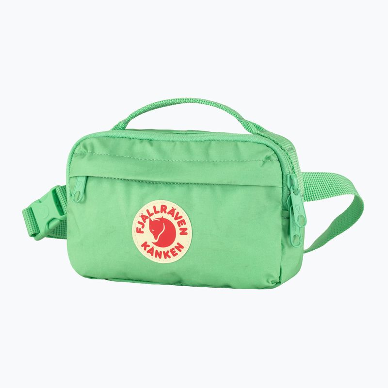 Fjällräven Kanken 663 apple mint τσάντα νεφρών 2