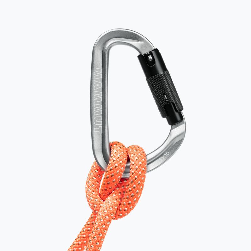 Mammut Classic HMS Twistlock Plus καραμπίνερ ασημί 2040-02480-17273-1 5