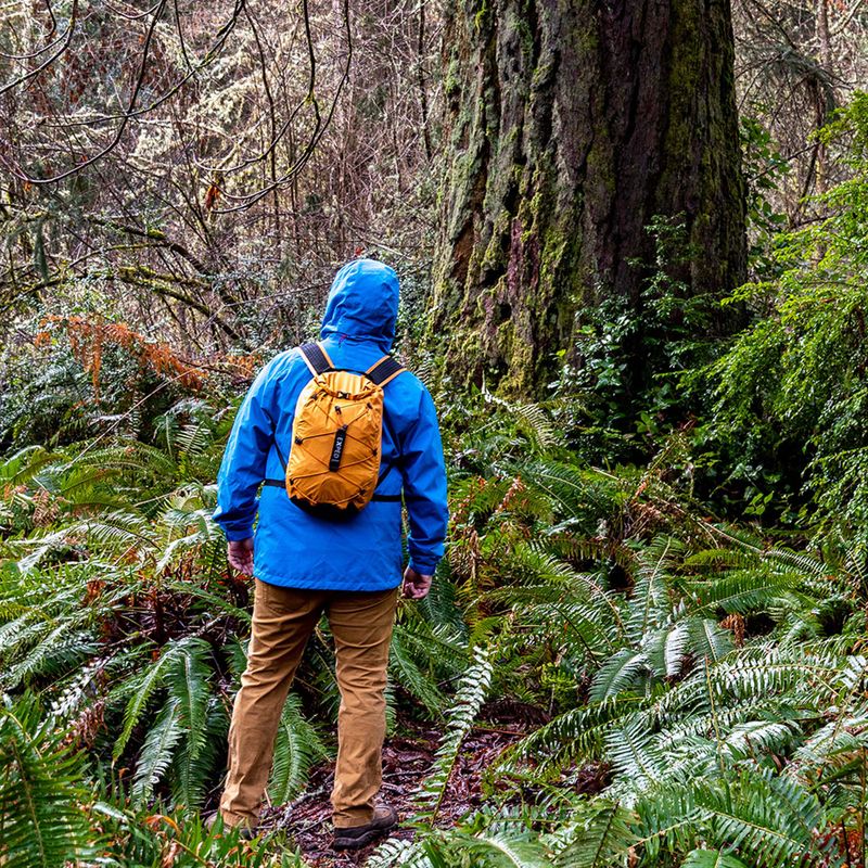 Exped Cloudburst 25 l χρυσό σακίδιο αναρρίχησης 8