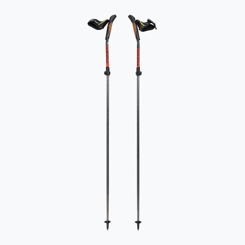 Μπαστούνι nordic walking Fizan Carbon Pro Impulse grey