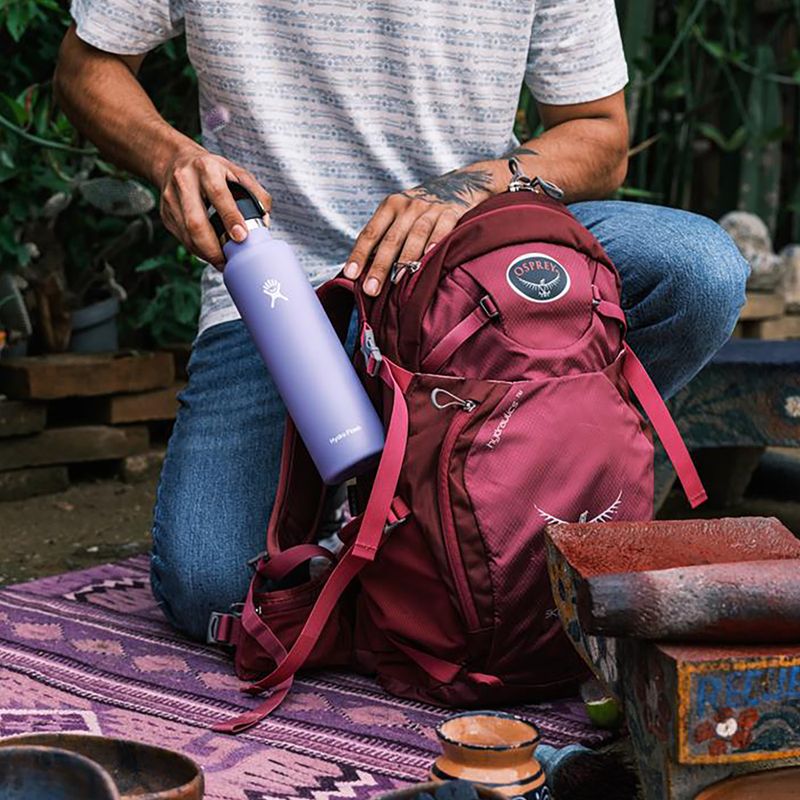 Hydro Flask Standard Flex Straw θερμικό μπουκάλι 620 ml μοβ S21FS474 6