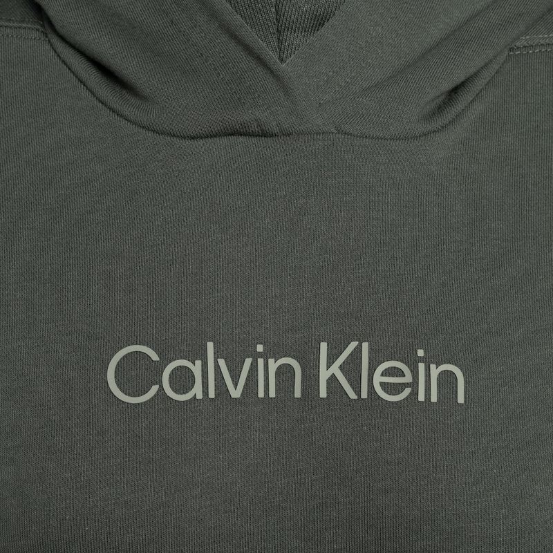 Ανδρικό Calvin Klein Hoodie LLZ αστικό κλασικό φούτερ 7