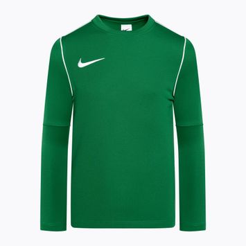 Nike Dri-FIT Park 20 Crew πράσινο/λευκό παιδικό φούτερ ποδοσφαίρου για παιδιά