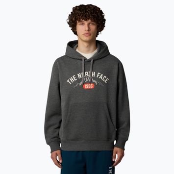 Ανδρικό μπλουζάκι The North Face Varsity Graphic medium grey heather