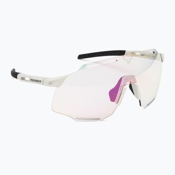 DYNAFIT Alpine Evo nimbus/μαύρα γυαλιά ηλίου
