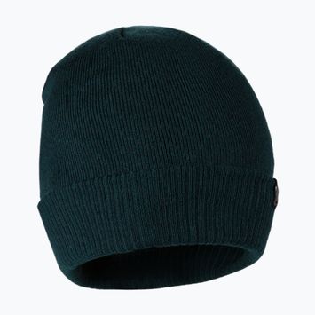 Ανδρικός χειμερινός σκούφος Pitbull West Coast Beanie Small Logo dark green