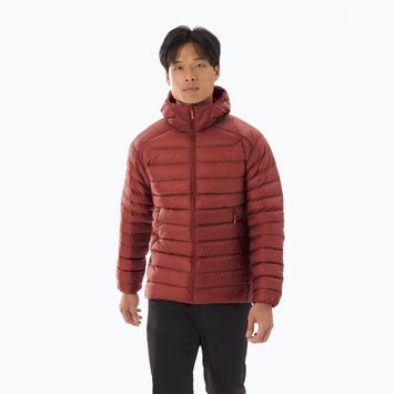 Ανδρικό αδιάβροχο μπουφάν Arc'teryx Cerium Hoody sequoia/ solaris