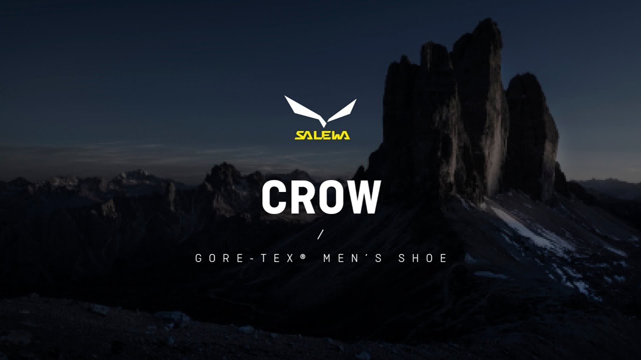 Salewa ανδρικές ψηλές αλπικές μπότες Crow GTX καφέ 00-0000061328