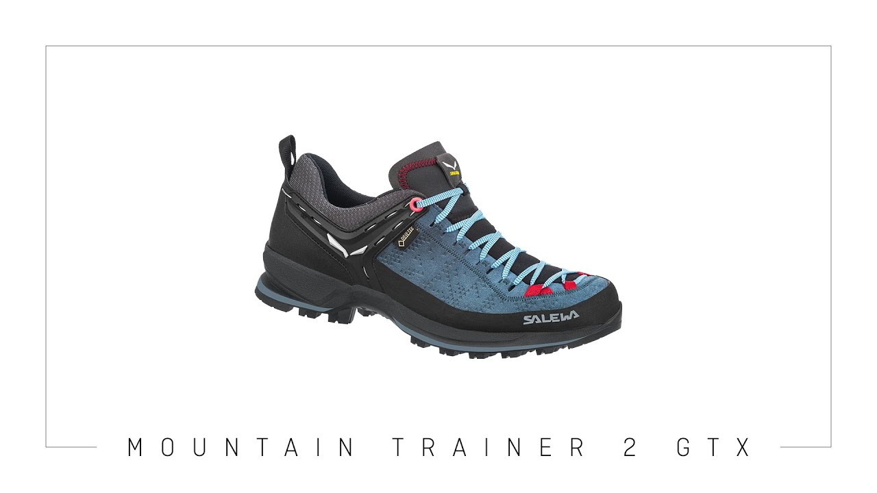 Ανδρικές μπότες πεζοπορίας Salewa MTN Trainer 2 GTX μπλε 00-0000061356