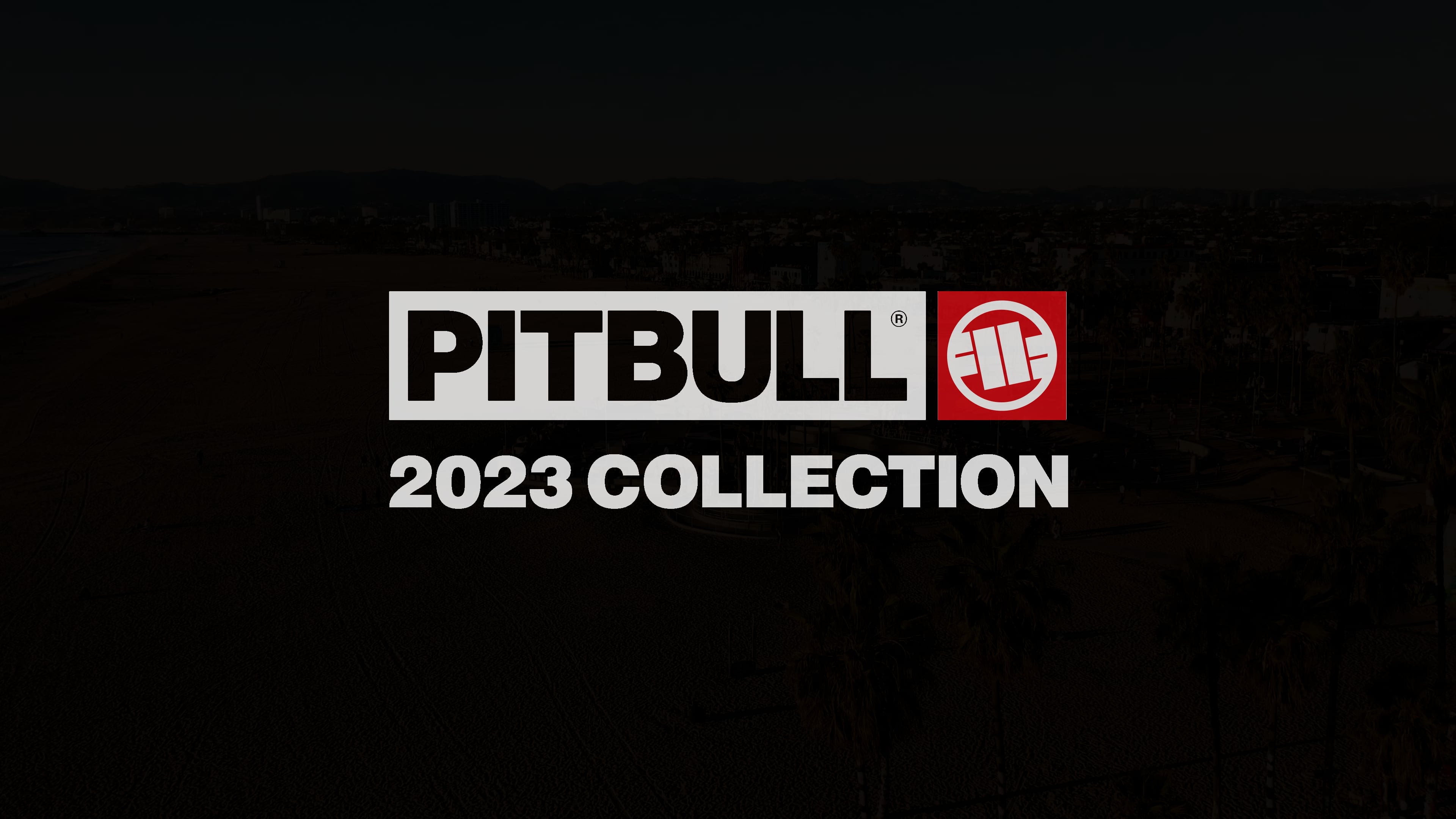 Ανδρικό T-shirt Pitbull West Coast T-S Hilltop 170 mint