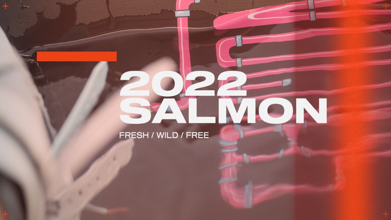 Slingshot Salmon ροζ wakeboard